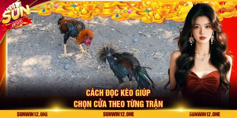 Cách đọc kèo giúp chọn cửa theo từng trận